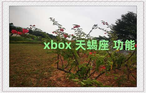 xbox 天蝎座 功能